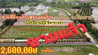 (ขายแล้ว)ep172ขายที่ดินพร้อมสวนมะพร้าว ติดถนน2ด้านยกแปลง2,600,000รวมโอน