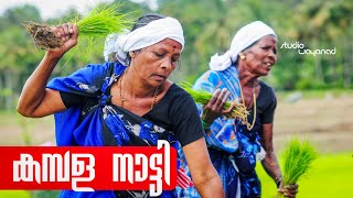 കമ്പള നാട്ടി നൃത്തം വയനാട് KAMBALA NATTI traditional paddy festival WAYANAD chekadi