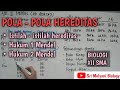 POLA-POLA HEREDITAS part 1 (Istilah2 hereditas, Hukum I Mendel, Hukum II Mendel)| Biologi XII SMA