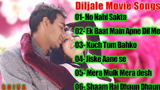 Diljale Movie Full Songs | Ajay Devgn, Sonali Bendre | Jukebox