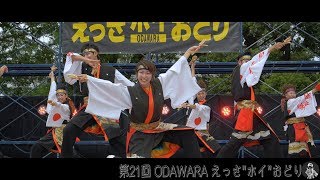 K-one動流夢 土曜日メイン会場 第21回ODAWARAえっさ“ホイ”おどり