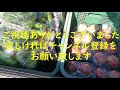 ねばねば野菜・茄子収穫・半身萎凋病その後　目指せ100品目　邑南町　駒川農園　21.7.28