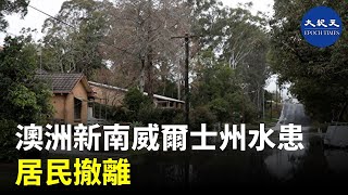 澳洲新南威爾士州南部降下豪雨，8月9日州緊急事務處下令Terara、東諾拉（East Nowra）、Worrigee和北諾拉內的居民在8月9日晚上10點前撤離| #香港大紀元新唐人聯合新聞頻道