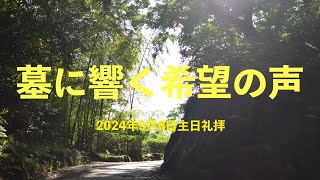 2021年9月8日「墓に響く希望の声」（召天者記念礼拝）