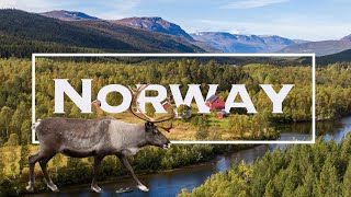 TOP 10 Best Places to Visit in Norway - The ULTIMATE Norway Travel Guide Video