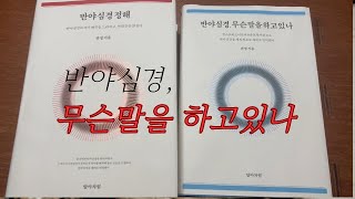 반야심경 무슨말을 하고있나? 반야심경의 재해석 책소개#반야심경 #반야심경강의