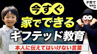 4~12歳【おうちSEMとは】子どもの才能を伸ばす！ギフテッド教育/子育て勉強会TERUの育児・知育・幼児家庭教育