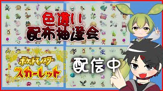 【Pokémon スカーレット】＃132　第27回、色違いポケモン配布抽選会　概要欄チェック