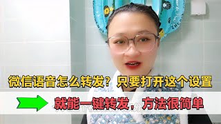 微信语音怎么转发？只要打开这个设置，就能一键转发。手机耗电太快？是这个开关没关掉，教您关闭【电话shine】