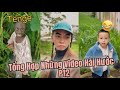 Những Video Hài Hước P12 - Nguyễn Chí Thanh.