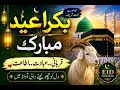 Bakra Eid Mubarak 2026 | Beautiful Eid Naat Shareef | Heart Touching Naat #IslamicNaat#Noor_Ki_Bate