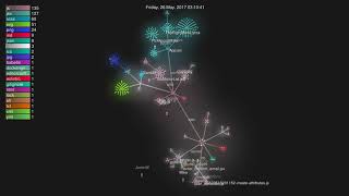Condenser - Steem UI Frontend Gource Visualization