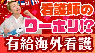 【有給海外看護インターンシップ】看護師が看護助手になる！ワーキングホリデー