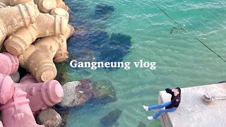 [vlog] 1박 2일 뚜벅이 강릉 여행🌊 | 휴학생 두 명의 여행 기록 :: 강릉 수제버거/강문해변/강릉 에어비앤비/유리알유희/사근진해중공원/중앙시장/벌집