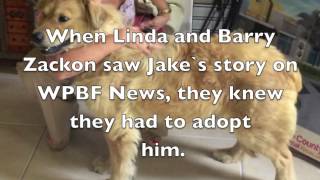 Jake`s Story