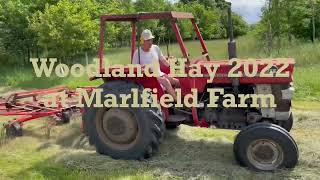 Traditional Woodland Hay Making at Marlfield Farm