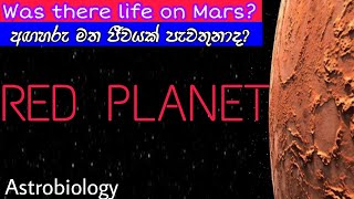 Mars: secrets of the red planet | කවදාක හෝ අඟහරු මත ජීවයක් පැවතුනාද?