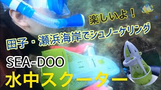 【田子瀬浜海岸でシュノーケリング】SEADOO水中スクーターを使って魚と一緒に泳いでみた！！