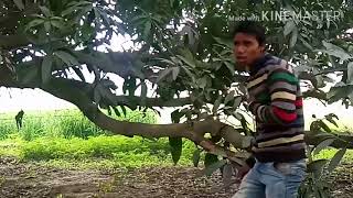 O Sathi Aaja Yaar Tera Pyar To Hai Meri Zindagi Sonu Kumar