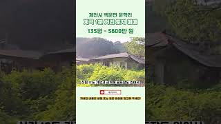 제천 토지 매매. 백운면 운학리 계곡 1분 거리 - 매매 5600만 원 #제천토지 #제천토지매매 #제천땅 #시골 #시골살이 #여행 #토지매매 #자연인 #계곡 #계곡캠핑 #별장