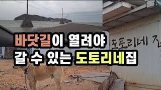 바닷길이 열려야 갈 수 있는 도토리네 집