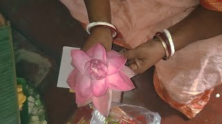 বিপত্তারিণী পুজো// bipodtarini puja vidhi// easy and simple way