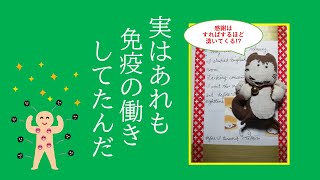 【60代の英語学習】英検まで23日　無くして分かったありがたさ