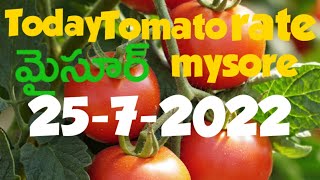 mysore Tomato Prices