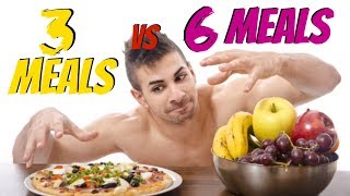 How Many Meals Per Day to Maximize Muscle Growth? | 3 Meals VS 6 Meals