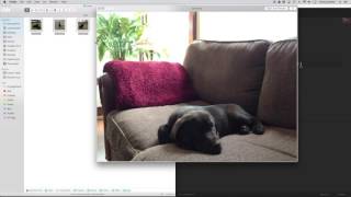 Python Scripting Tutorial Image Manipulation with Pillow