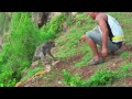 pura uluwatu temple is inhabited by monkeys who steal stuff from visitors bali indonesia