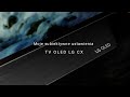 Moje ustawienia LG CX OLED TV pod PS5/XBOX