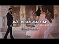 Dil Diyan Gallan [Slowed + Reverb] | Tiger Zinda Hai | Salman Khan | Katrina Kaif | Atif Aslam