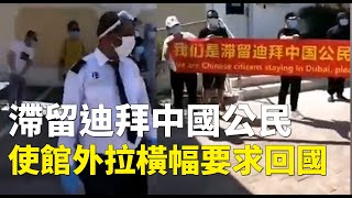 滯留迪拜中國公民使館外拉橫幅要求回國 ｜#大紀元新聞網