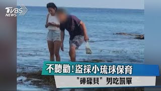 不聽勸！盜採小琉球保育「硨磲貝」 男吃罰單