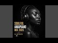 Soulful Amapiano Mix 2026