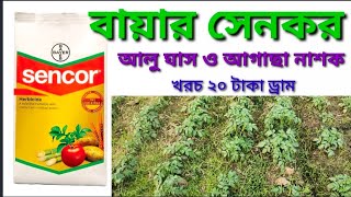 বায়ার সেনকর আগাছা নাশক। আলু চাষে ব্যবহার। Metribuzin 70% । Bayer Sencor. Tata Metri. Krizin.