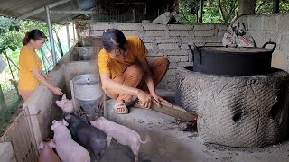 Pig farming and the benefits of recycling waste into biogas