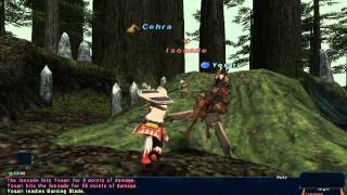 FFXI - All The Bits and Pieces