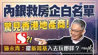 內銀救房企白名單驚見香港地產商！施永青：擺新鴻基入去玩嘢咩？︱股壇C見（Part 2/2）︱20240119