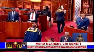 MERU NJARENE CIA SENETI