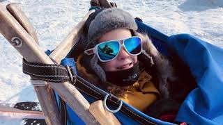 Geilo Husky sledding on the frozen Halnefjorden, Hardangervidda National Park, Norway