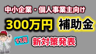 ３００万円から補助金事務局から新たな対策発表・高確率でもらえる中小企業・個人事業向け省力化投資補助金【中小企業診断士YouTuber マキノヤ先生】第1967回