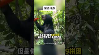 【搞笑动物配音】158，开门送温暖！！！