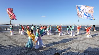 葵 📍黒潮よさこい祭り (利根川会場) 2022-11-27T14:35