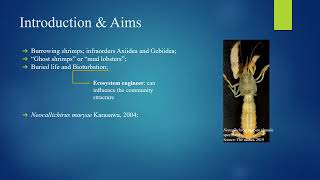 CBC.TCS.2022 –POPULATION STRUCTURE AND RELATIVE GROWTH OF THE BURROWING SHRIMP Neocallichirus maryae