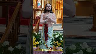 # புனித தேவ சகாயம் பிள்ளை# எங்களுக்காக வேண்டிக்கொள்ளும்#velankannimadha#jesus#christianprayer