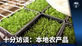 狮城有约 | 十分访谈：本地农产品