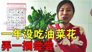 媛媛一年没吃油菜花了，赶紧弄一捆尝尝，全家都说好吃停不下来【媛媛Vlog】