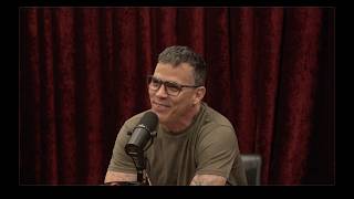 Joe Rogan Experience #2463 - Steve-O